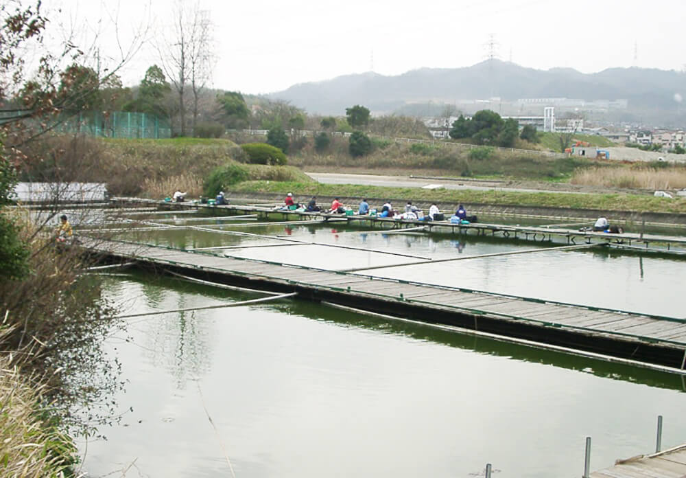 王仁公園新池釣センター