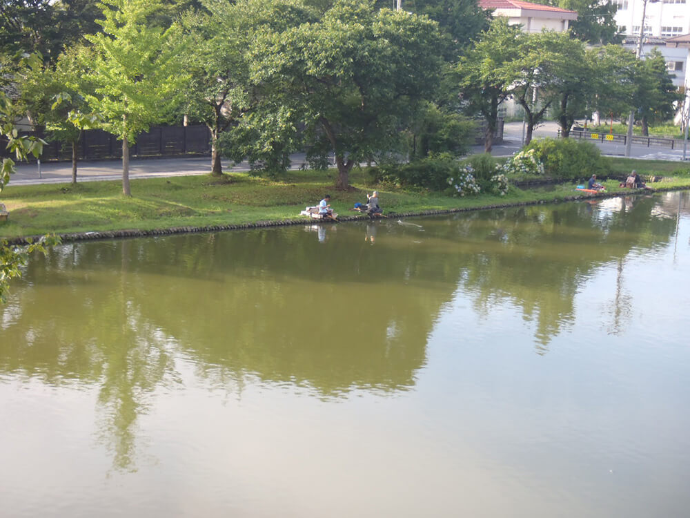 最上公園の池