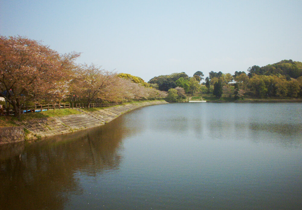 立岡の池