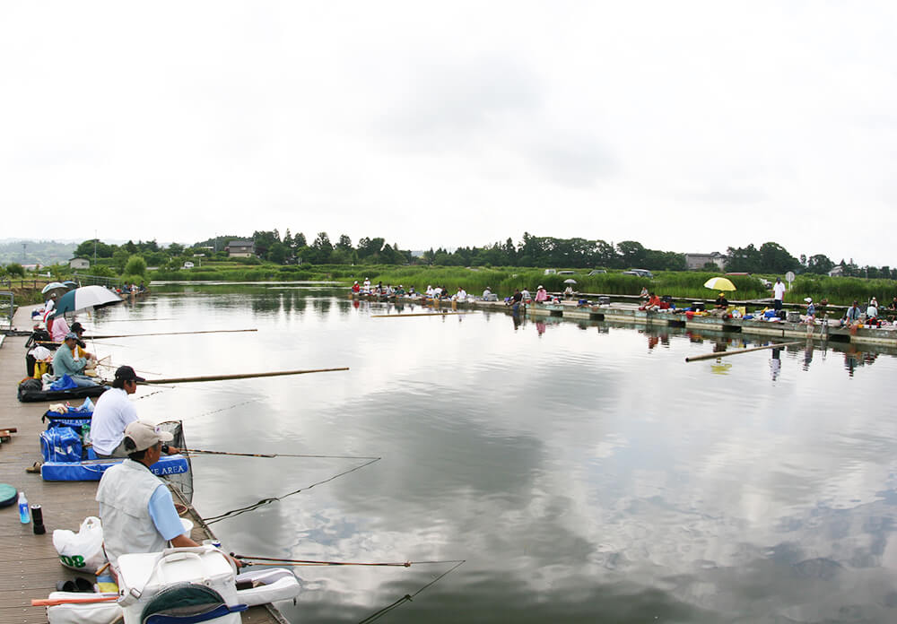 大手口釣り公園 へら鮒天国