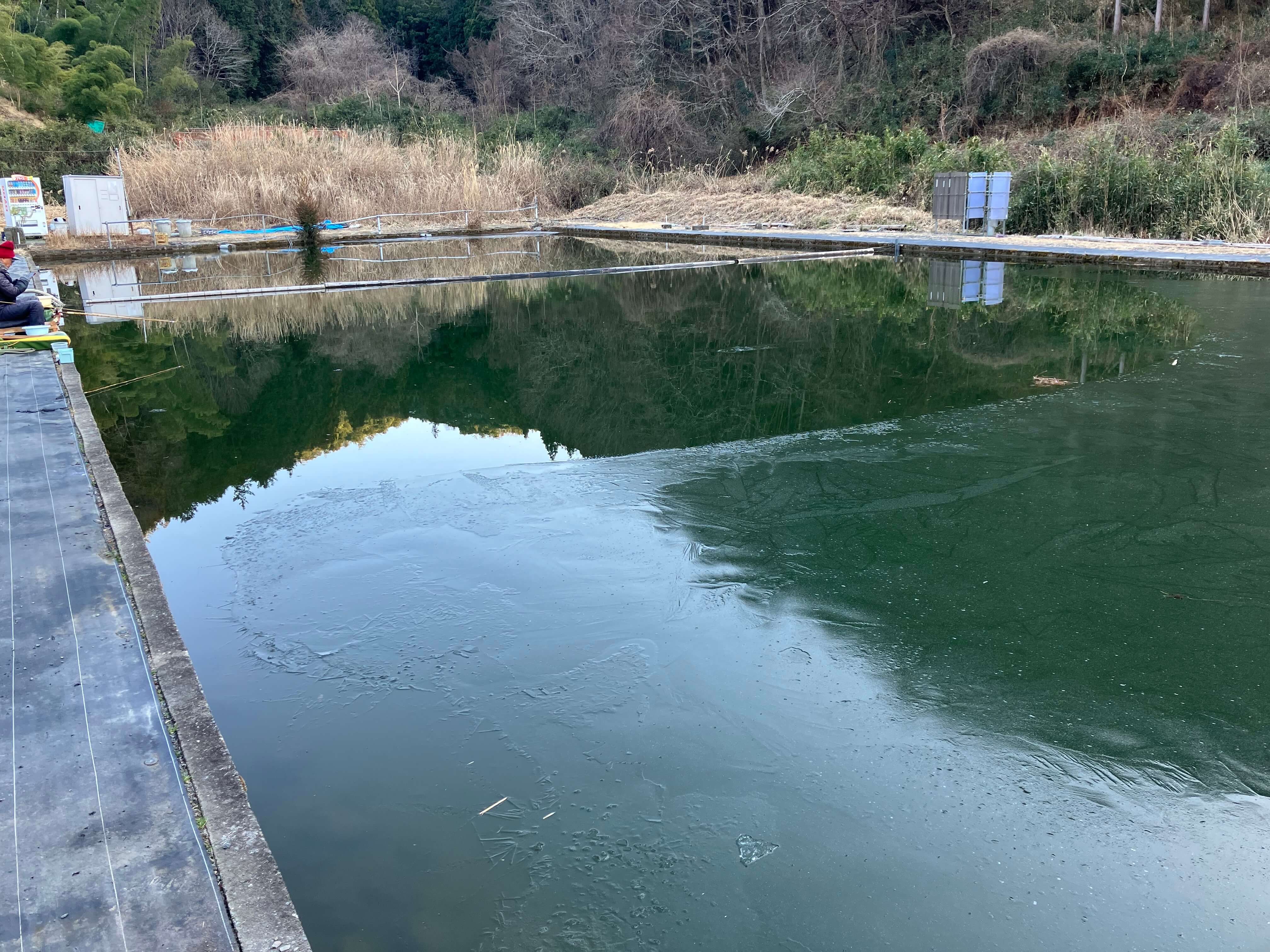 釣り堀・松田憩いの池