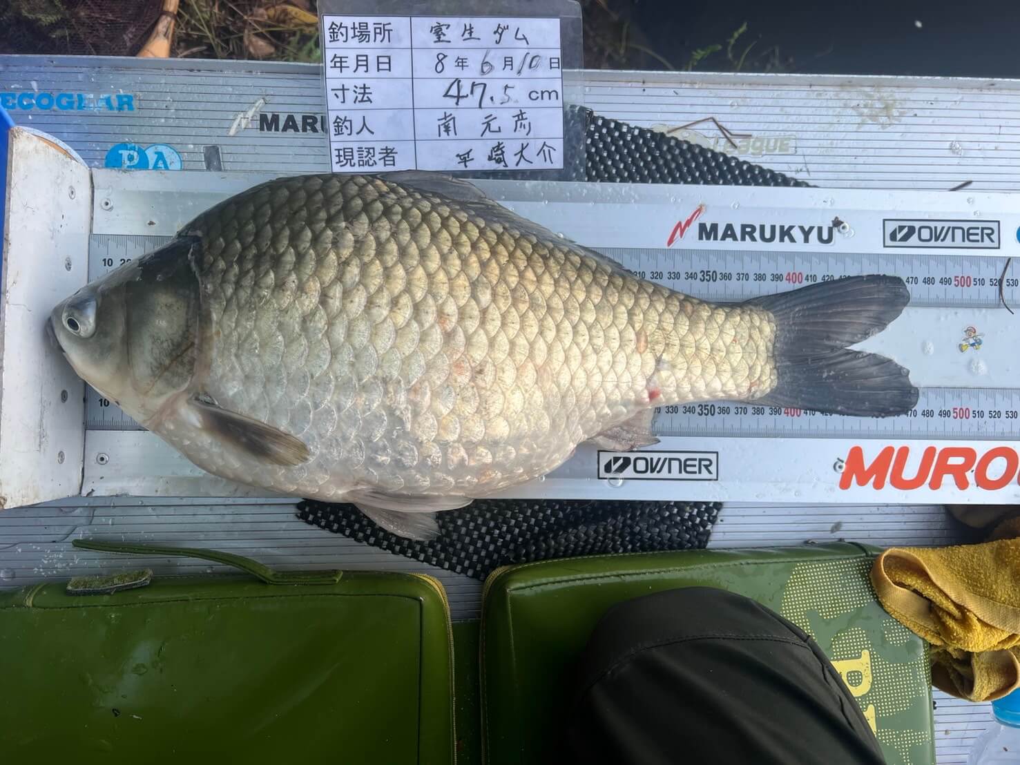 釣果写真