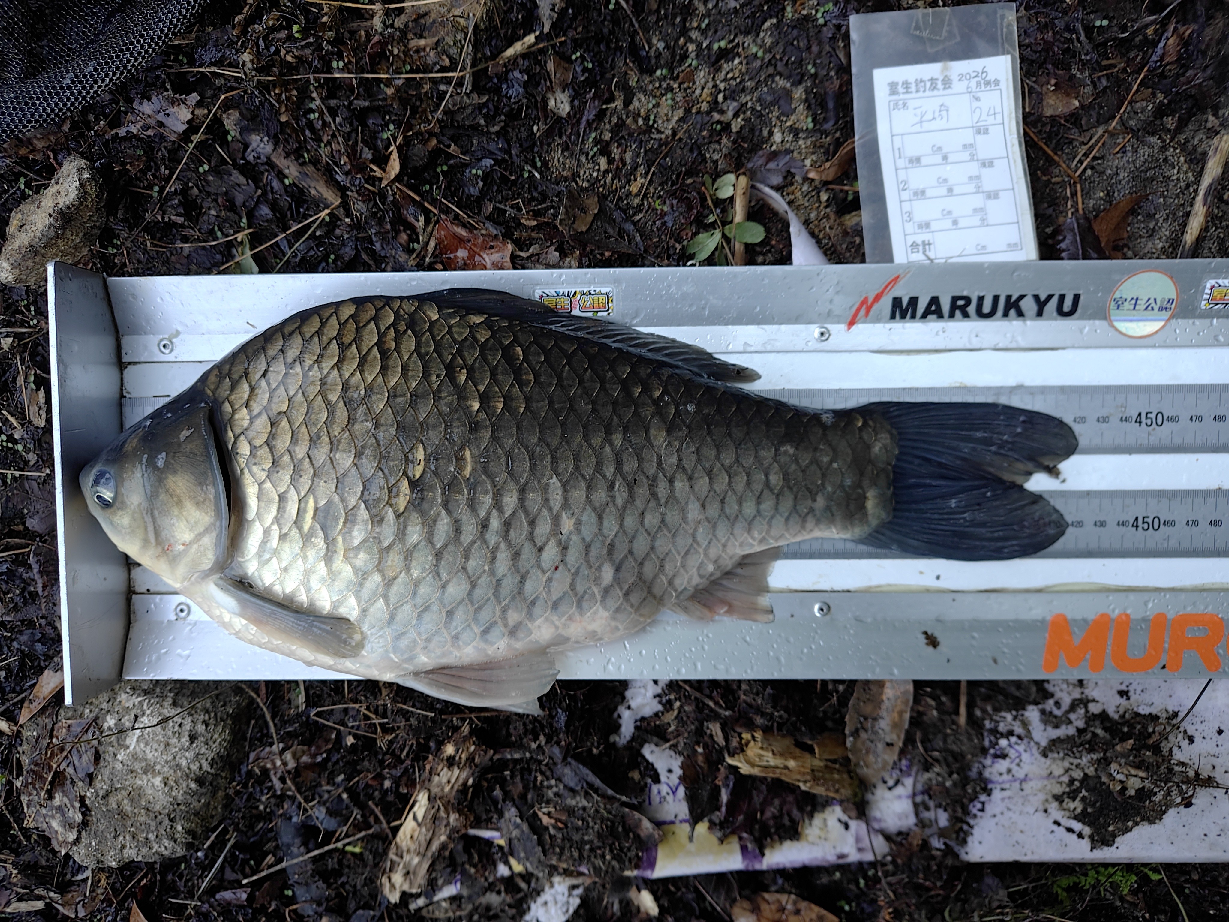釣果写真