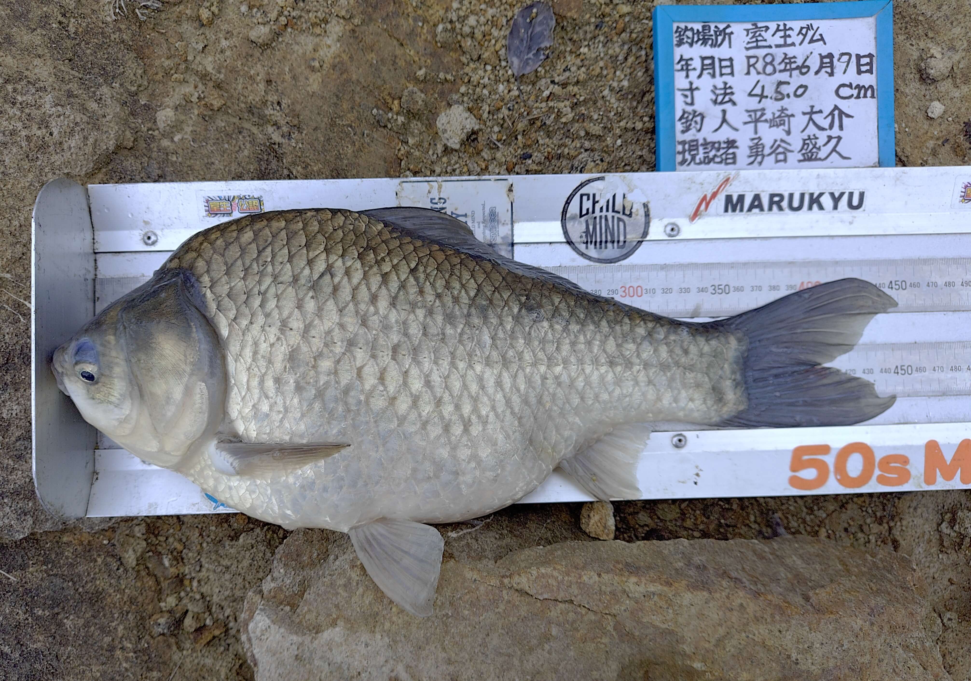 釣果写真