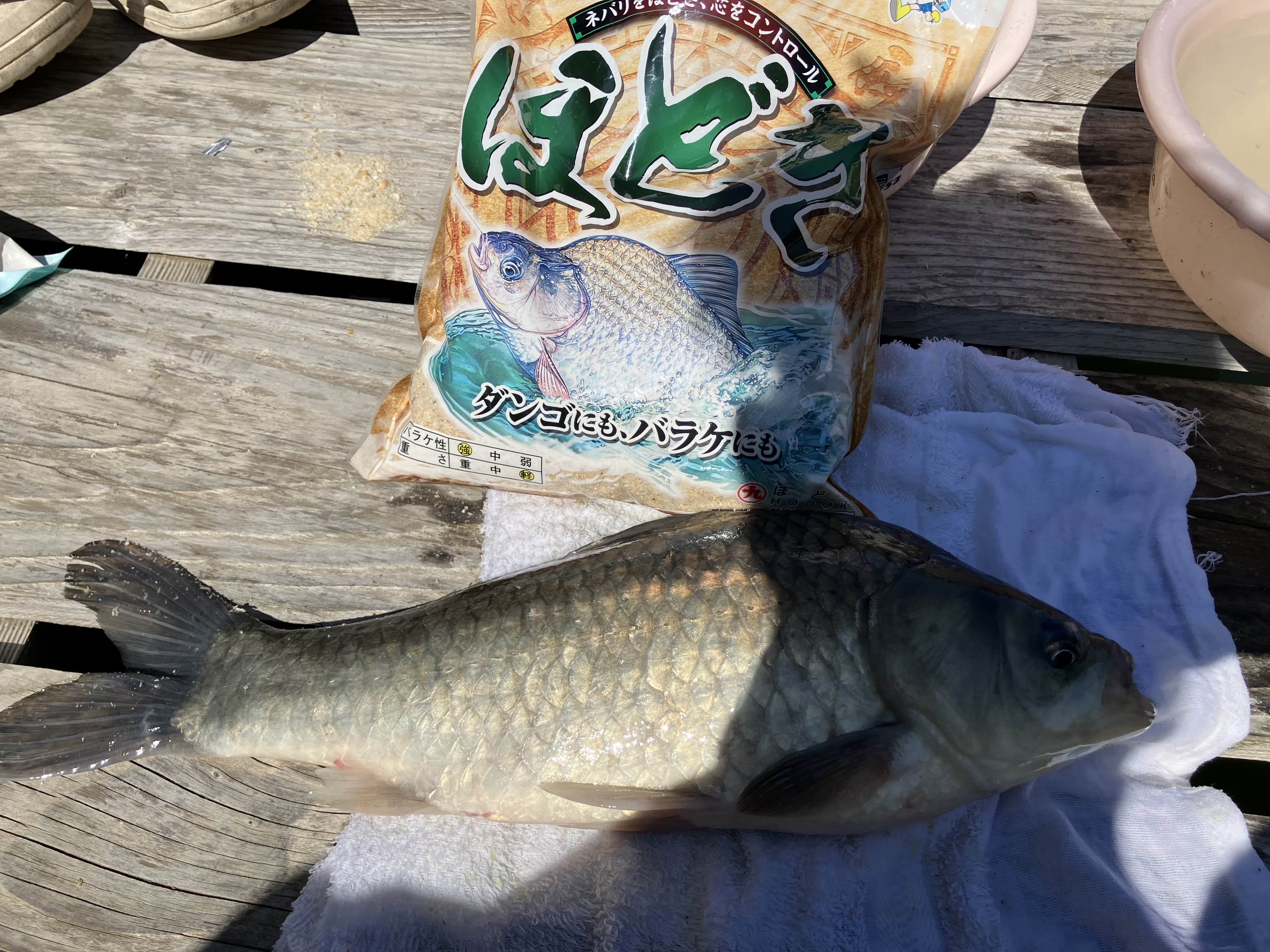釣果写真