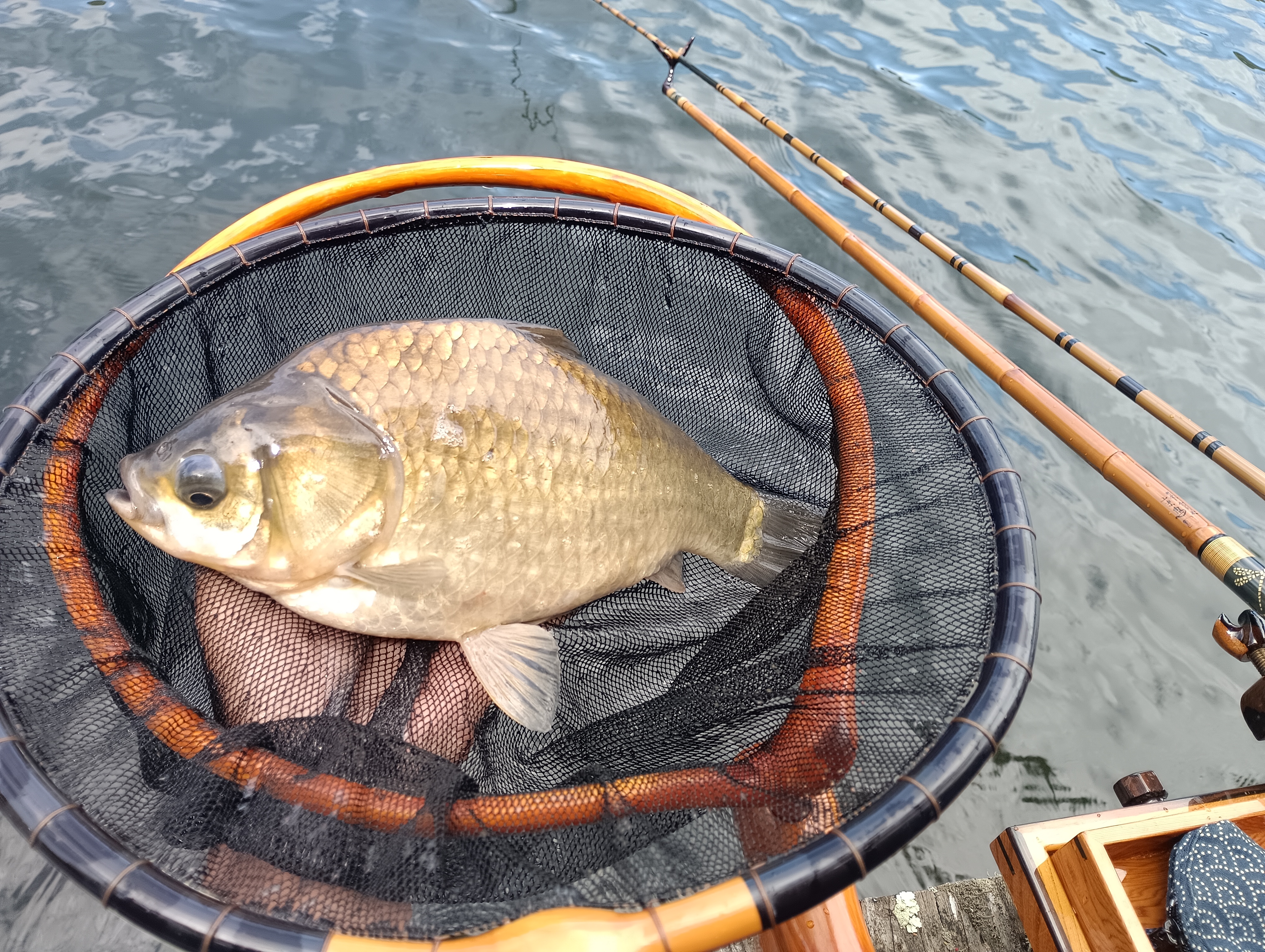 釣果写真