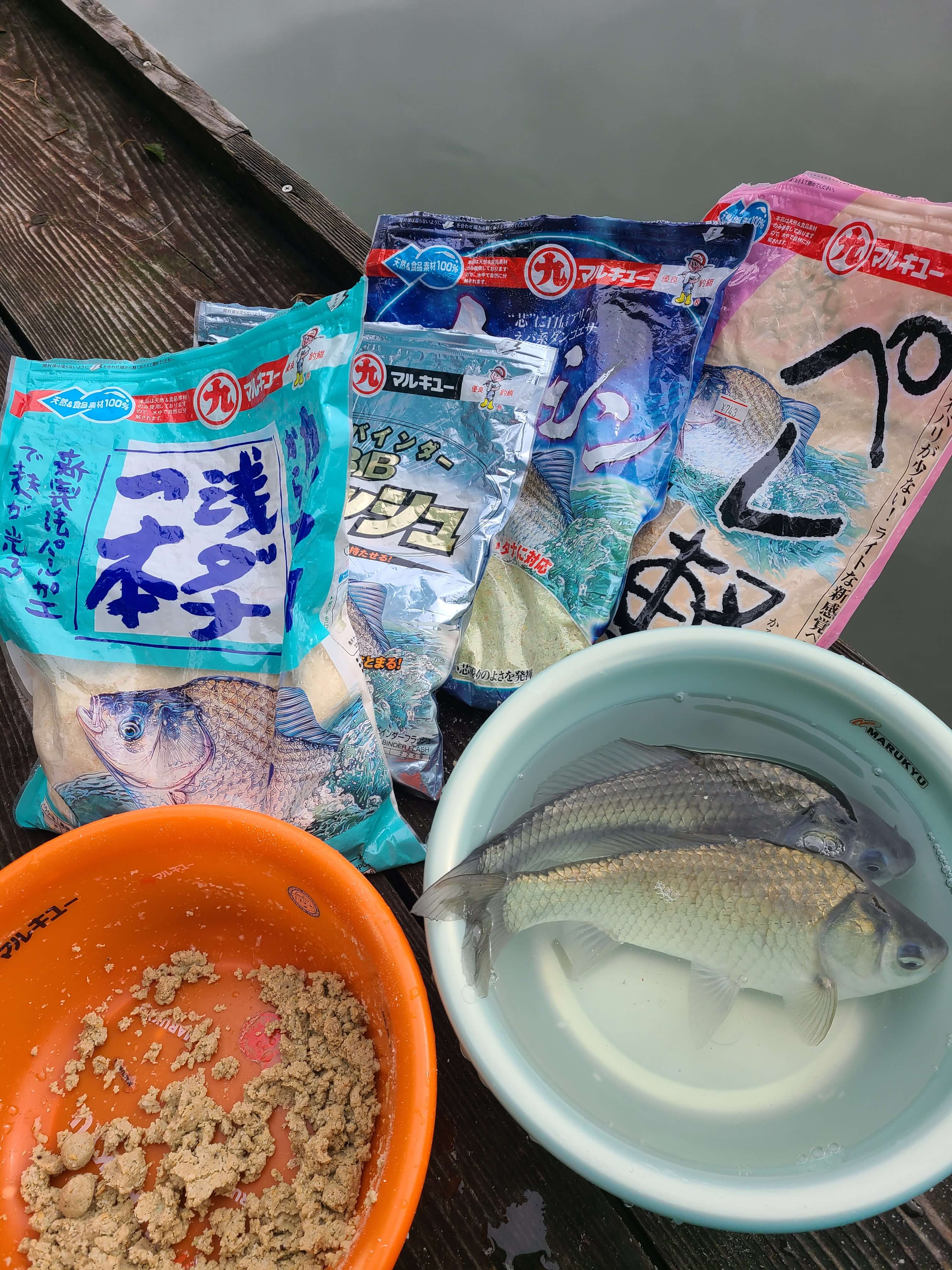 釣果写真