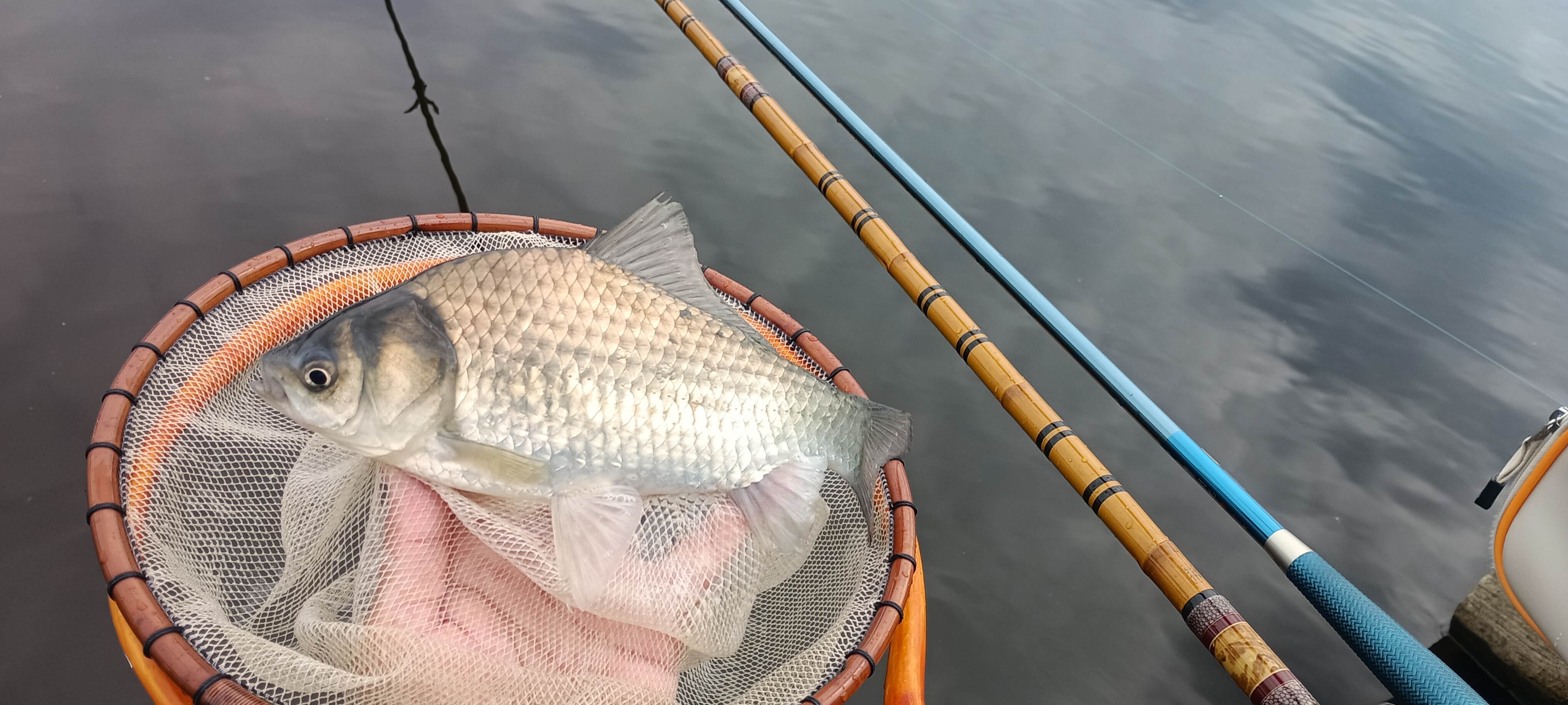 釣果写真