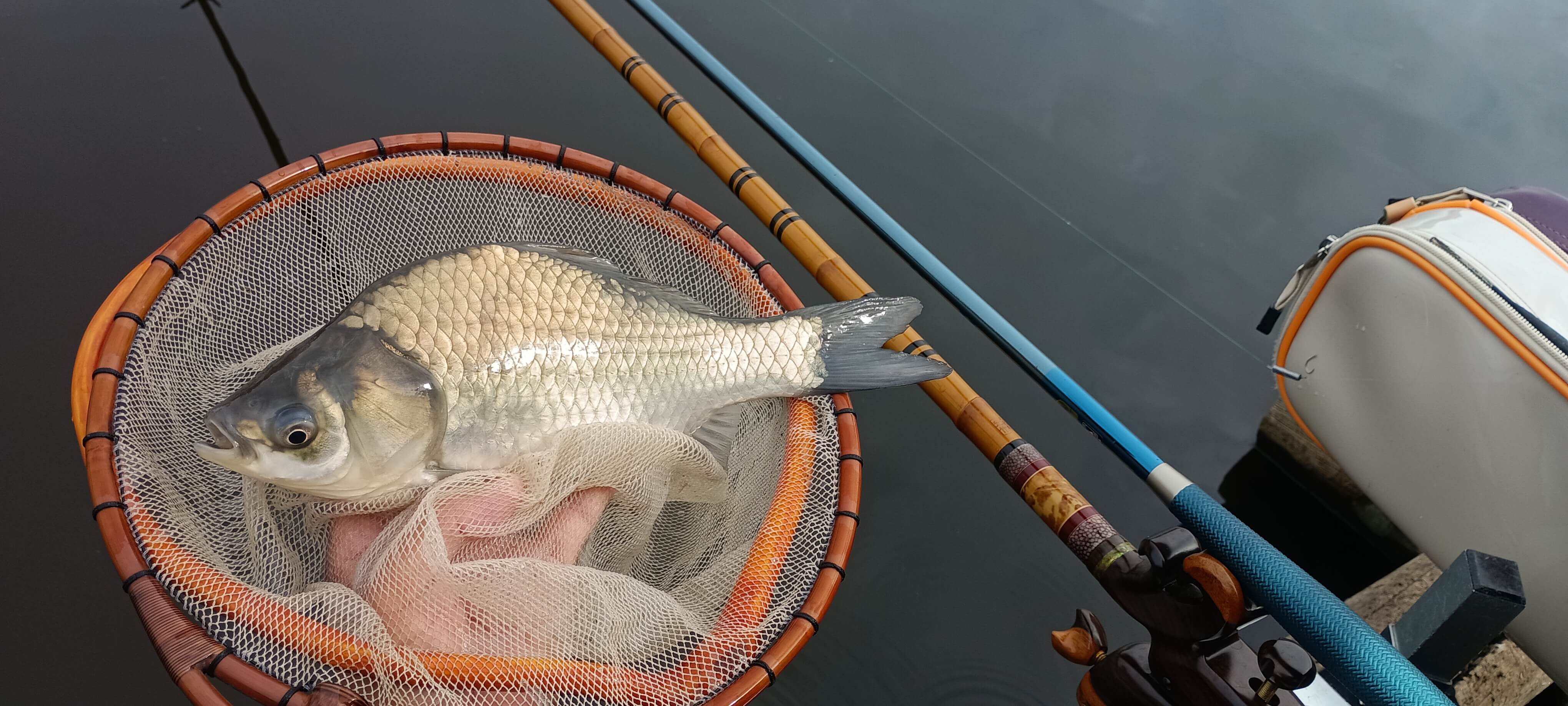 釣果写真