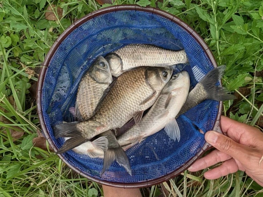 釣果写真