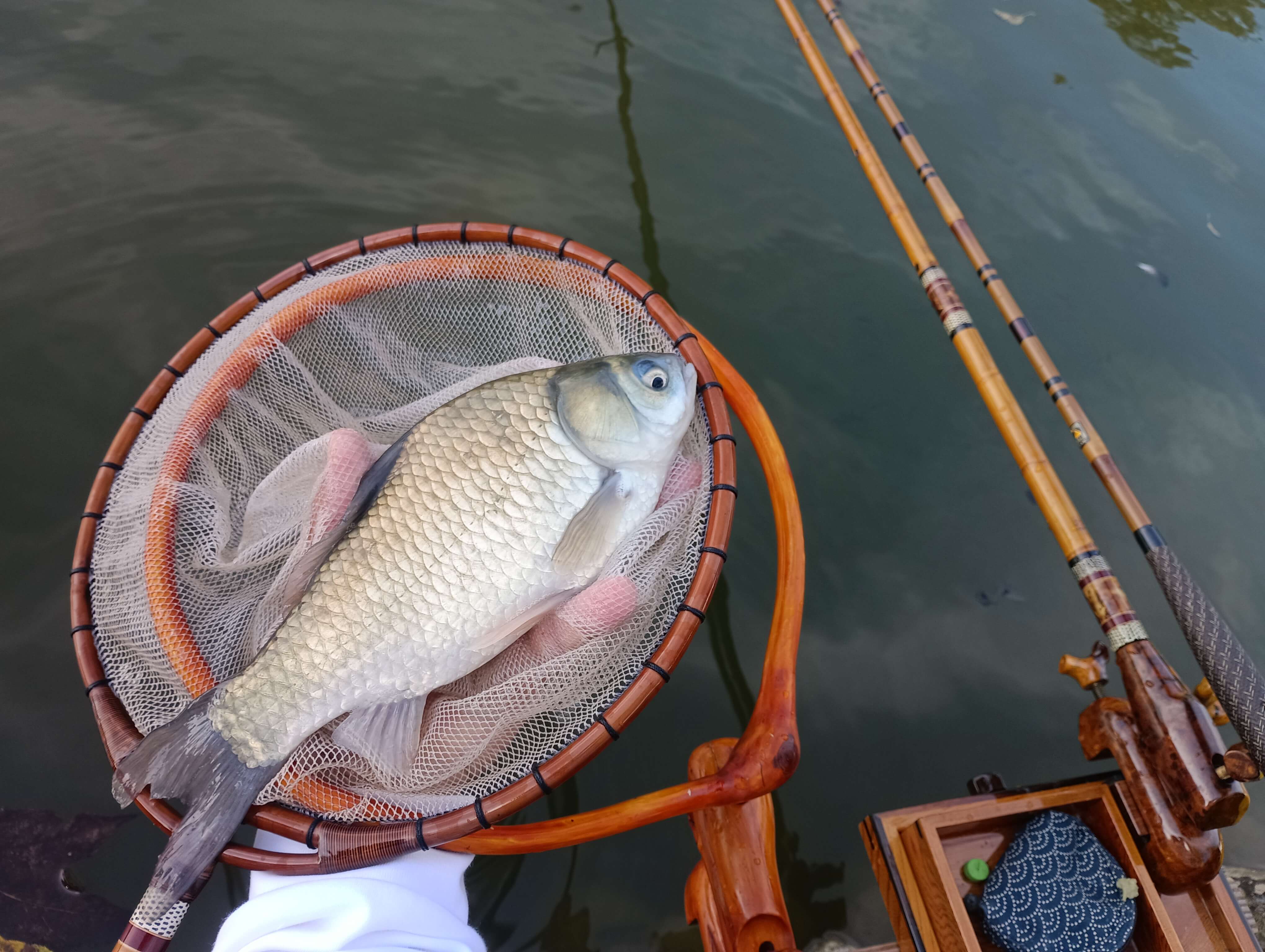 釣果写真