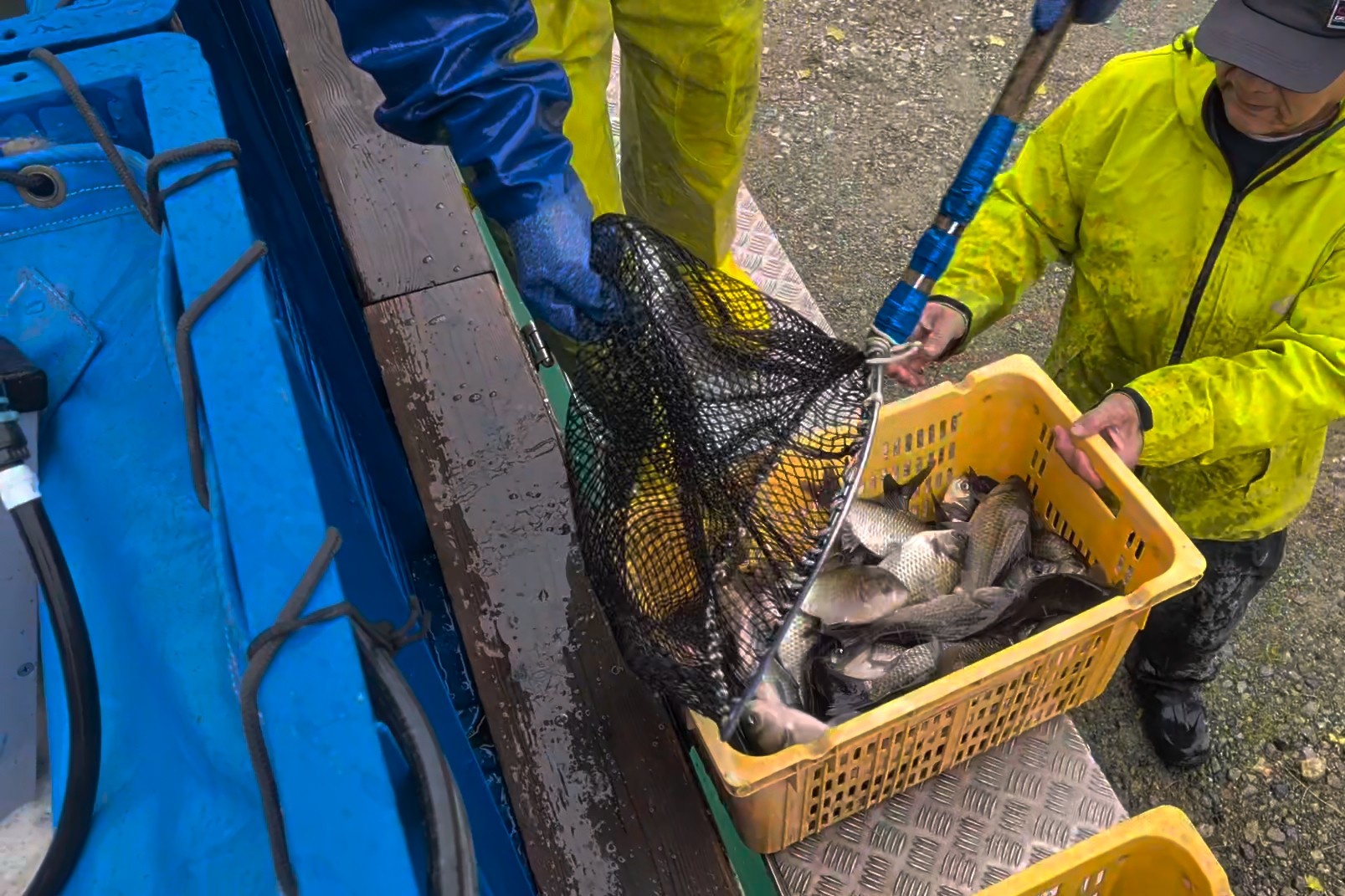 釣果写真